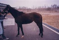 ��ġ�̸���� (RICH EMOTIONS) ����