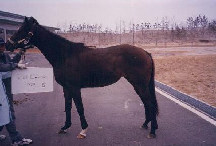 ��ġ�̸���� ����