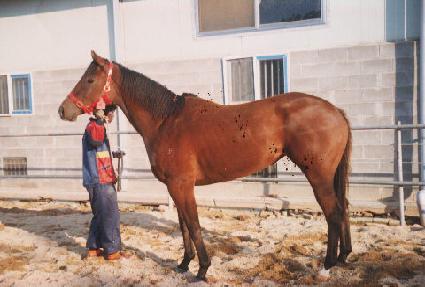 �ҿ���۷� ����