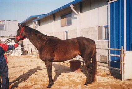 �ƿ�İ���µ� ����