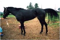 ���̿�Ʈ (I WANT) ����