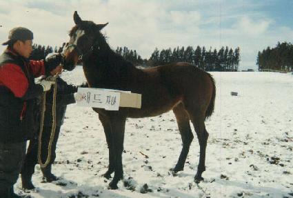 ������� ����