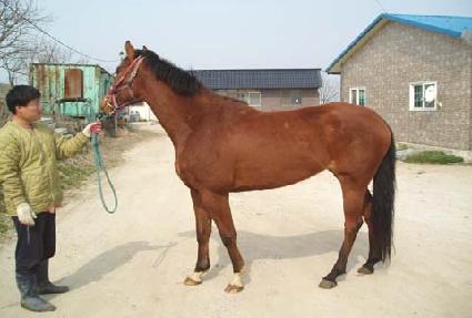 �̽�Ʈ������ ����