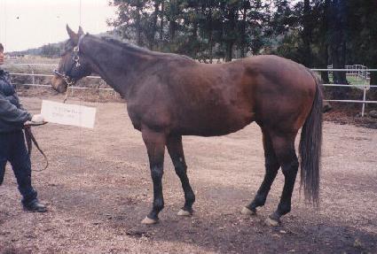 ���̽����� ����