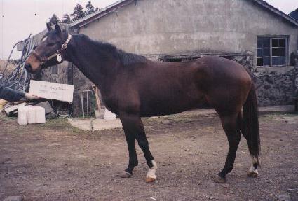 ����Ÿ���� ����