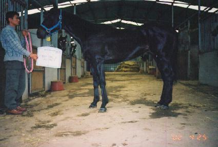 ĥ������ ����