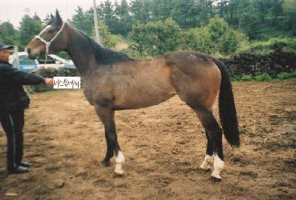 �̽�����Ÿ ����