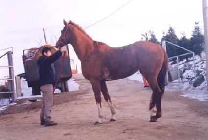 ���̺����ڿ���Ʈ ����