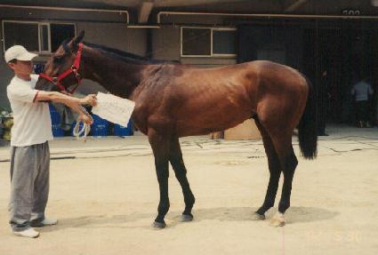 ������ī�� ����