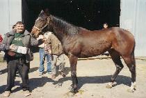 �ø�Ʈ�̽��� (ALMOST EASTER) ����