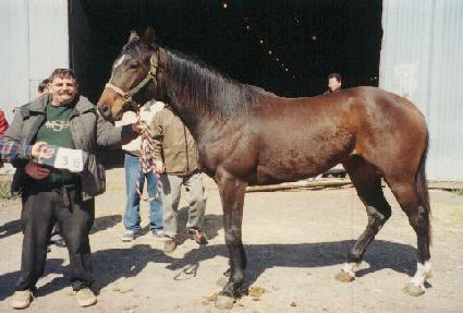 �ø�Ʈ�̽��� ����