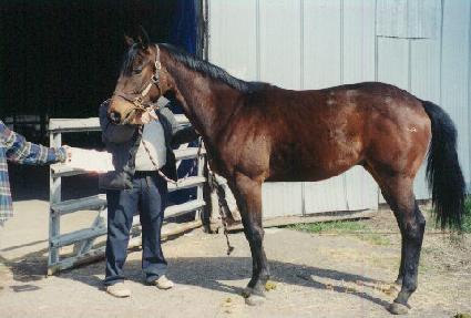 ���� ����