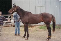 �ֶ� (SOLAR SUN) ����