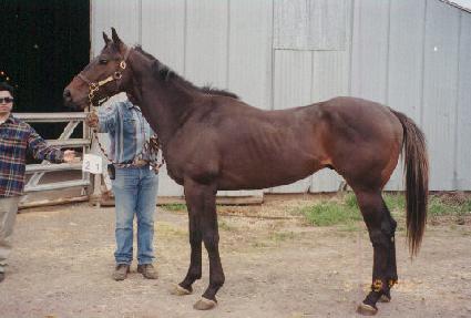 �ֶ� ����