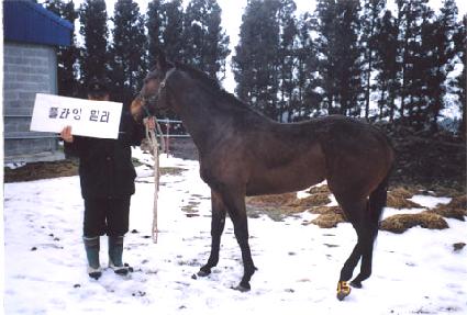 �ö��׹и� ����