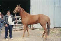 �к����� (FABULEUX PARI) ����