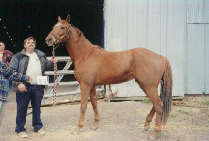 �к����� ����