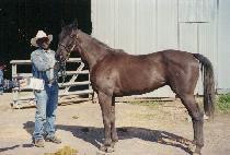 ����Ƽ��ũ���� (NATIVE KRIS) ����