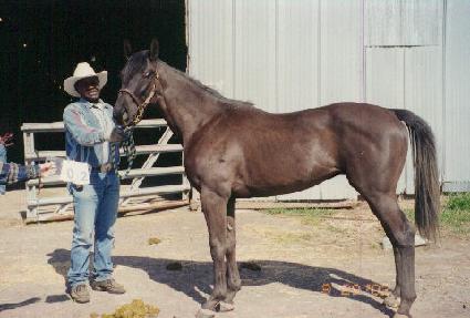 ����Ƽ��ũ���� ����