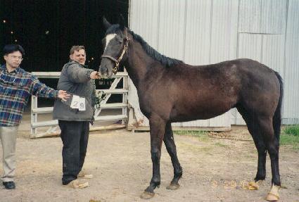 ���ڴ��� ����