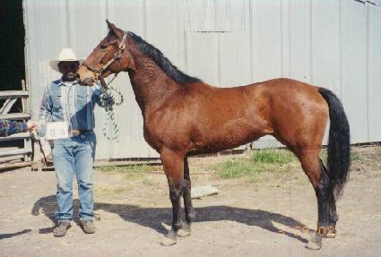 ����Ʈ�ڵ� ����