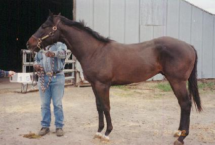 �ν���Ʈ�� ����