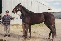 �Ž÷� (FOXIE LOU) ����