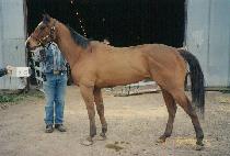 �̽��ֵ帮 (MISS ADRI) ����