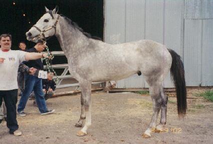 �и�ũ��� ����