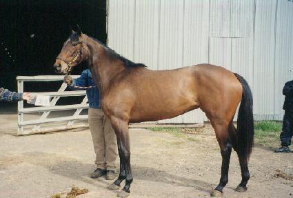 ��Ŭ��ȣ���ö��� ����