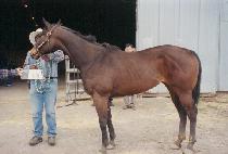 �÷��ͷ���ī��Ʈ (COLLATERAL ACCOUNT) ����