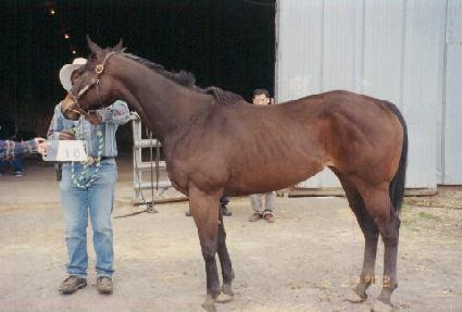 �÷��ͷ���ī��Ʈ ����