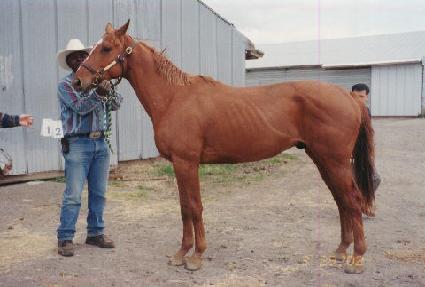 �Ŀ���κ������ ����