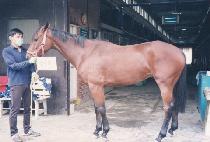 ĳ�ϸ� (CANNY MAC) ����