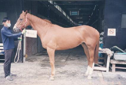 ���� ����