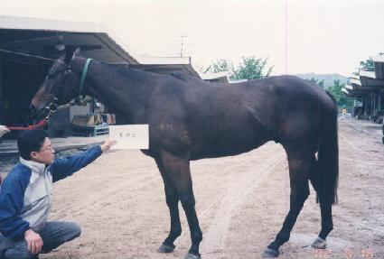 ��â�� ����