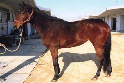 �������� ����