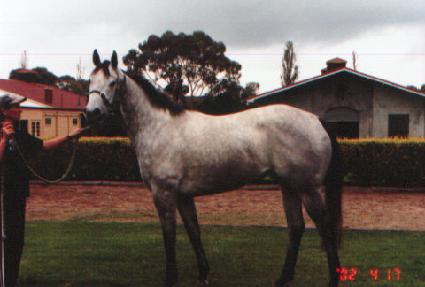 �ƶ����־� ����