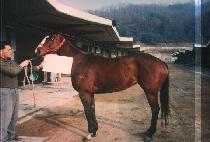 �ٷλ罺Į�� (BAROSSA SCHOLAR) ����