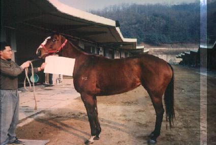 �ٷλ罺Į�� ����