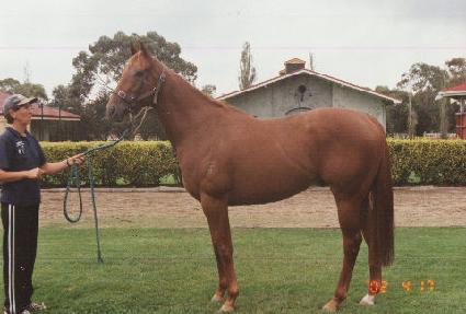 ��Ŀ�� ����