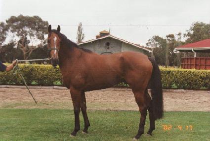 �Ӿ�� ����