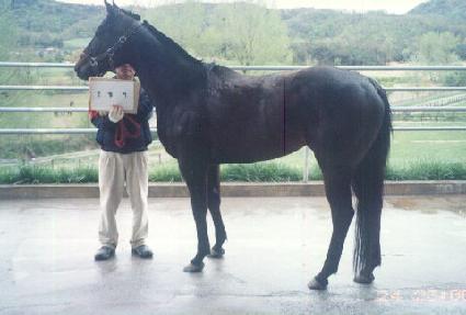 �غ��� ����