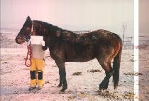 �̽��� (MISS JEUNE) ����