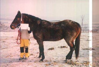 �̽��� ����