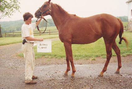 ���������� ����