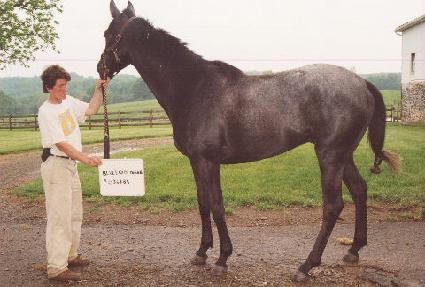 ���糪�̽������� ����