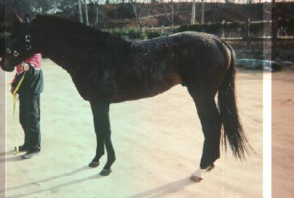 ����̾ȹ�Ʋ�� ����