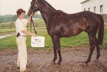 ���������������� (DANGEROUS OPENING) ����