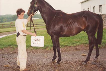 ���������������� ����